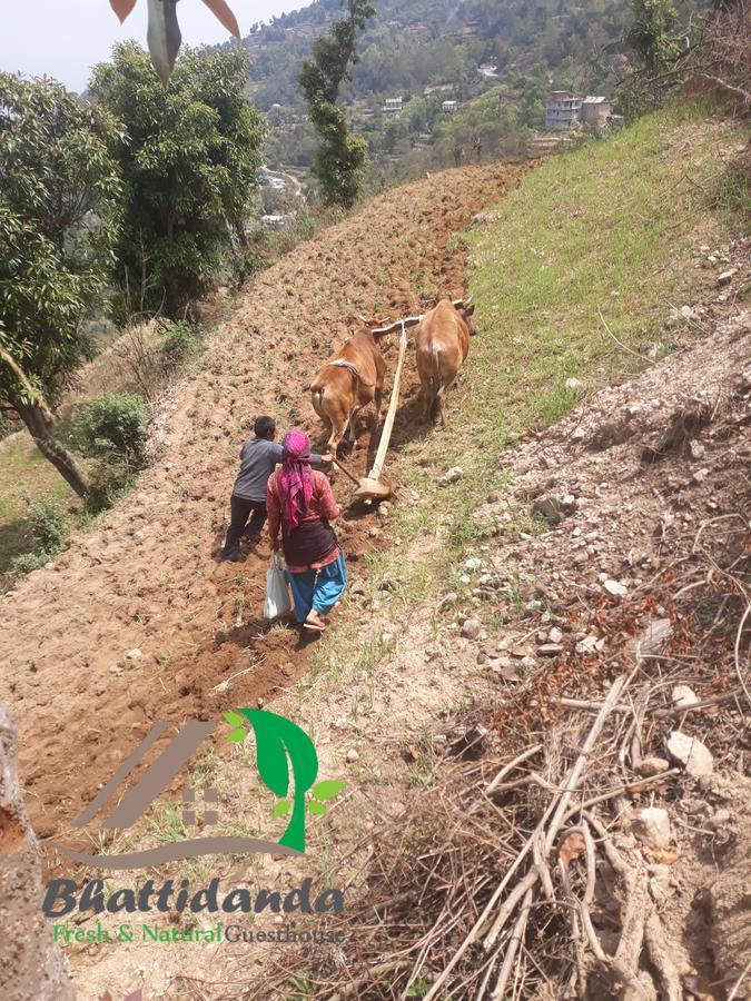 Bhattidanda Fresh & Natural Homestay Dhulikhel Exterior photo